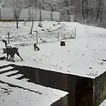 в бабаєво *
