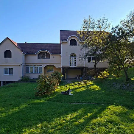 Vila в бабаєво